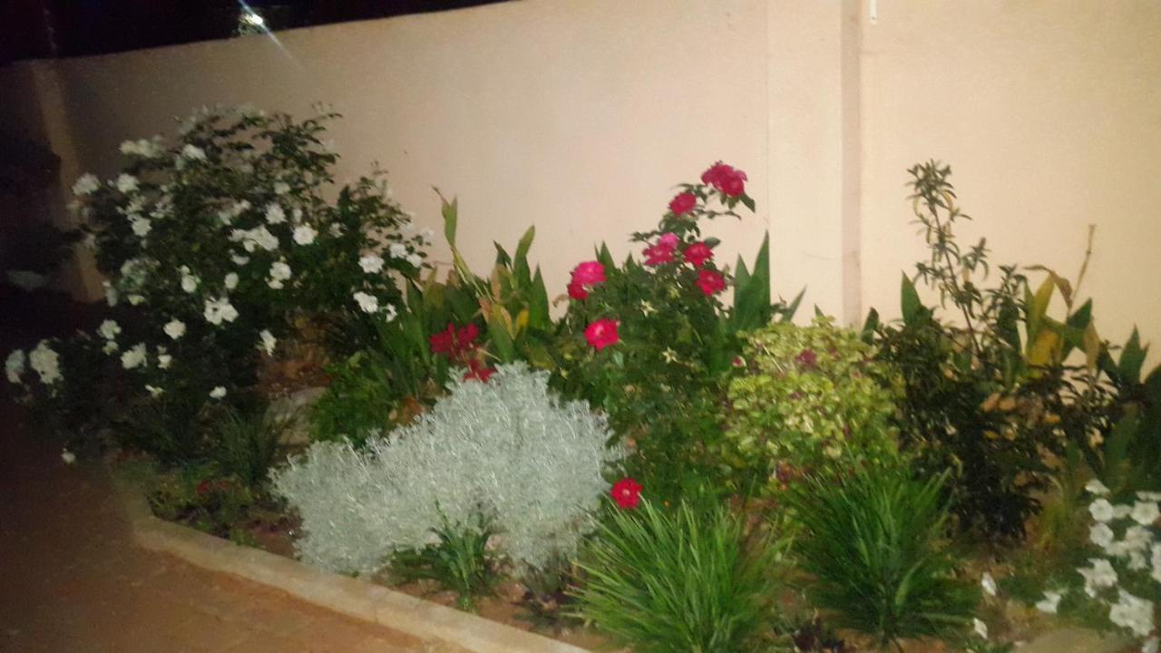 Tintech Bed & Breakfast Francistown Kültér fotó
